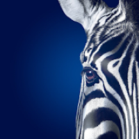 ProjectImage